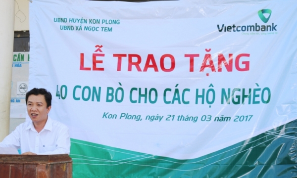 Vietcombank Kon Tum tặng 100 con bò giống cho hộ nghèo huyện KonPlong